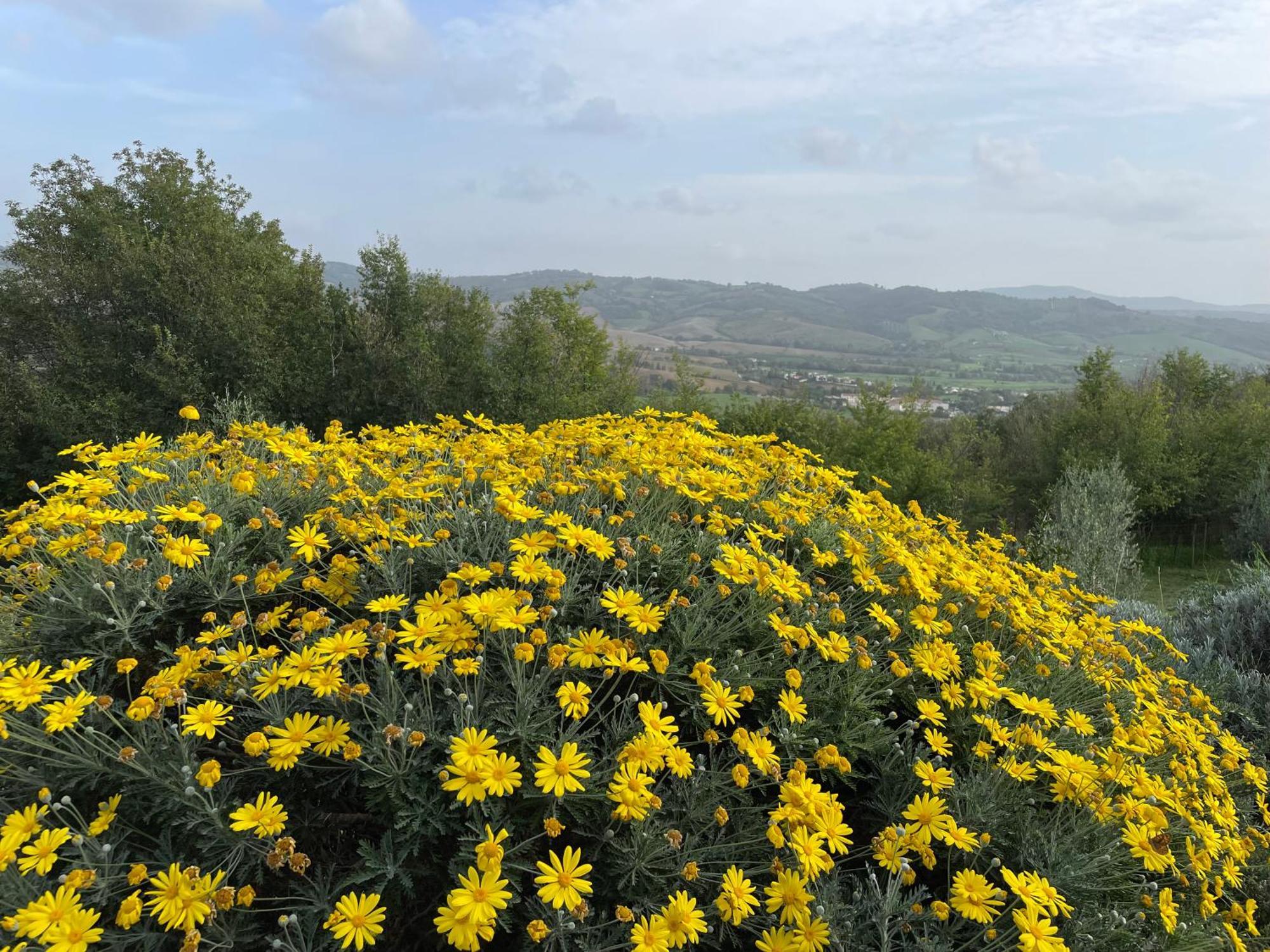 סטורניה Il Nido Del Falco Nelle Antiche Mura מראה חיצוני תמונה
